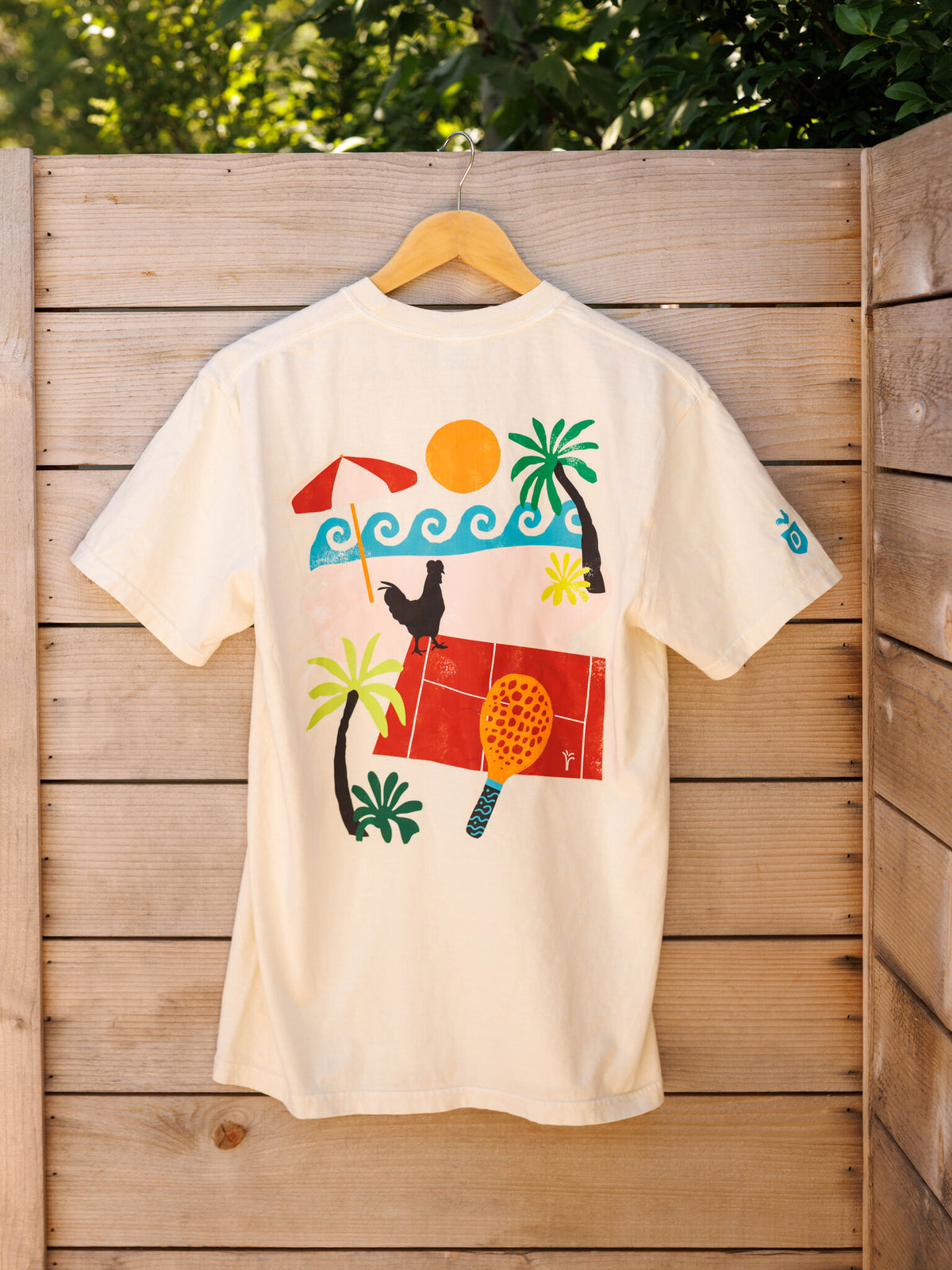 BRISAS Basics